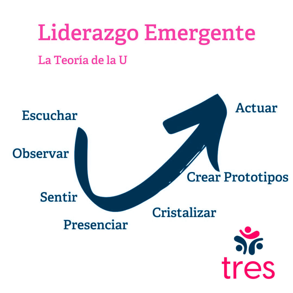 Consultora Tres - Liderazgo emergente